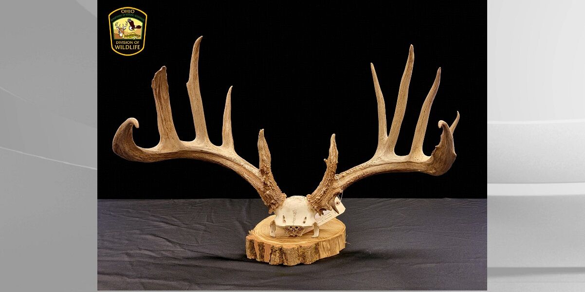 ODNR: Poacher Pleads Guilty to 14 Counts in High-Profile Taking of Trophy Buck in Clinton County